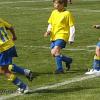 Imagem_283
